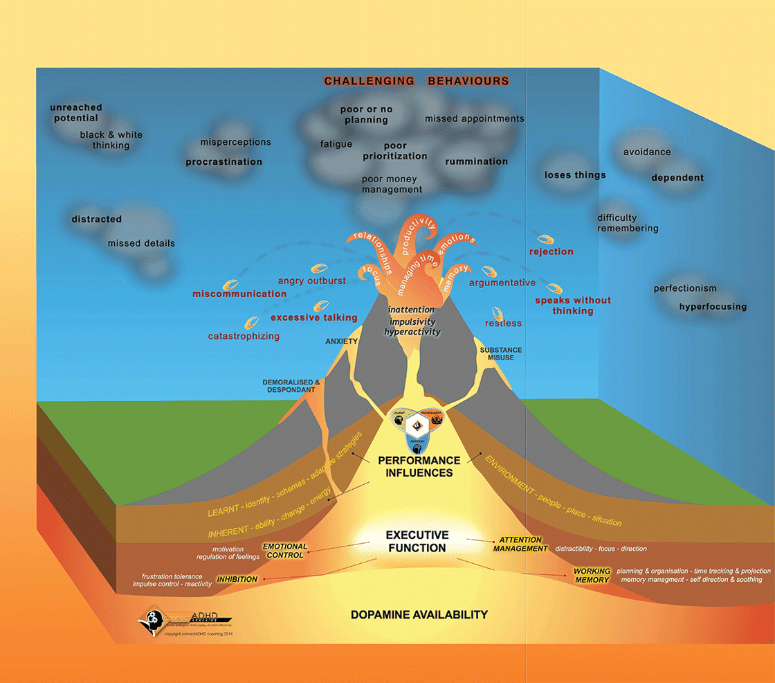 Graphic illustrating challenging behaviors related to executive function, highlighting influences like dopamine availability and performance factors.